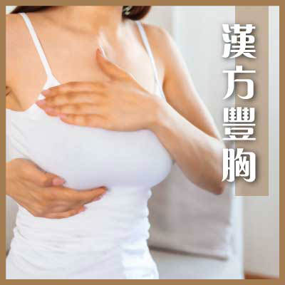汉方丰胸